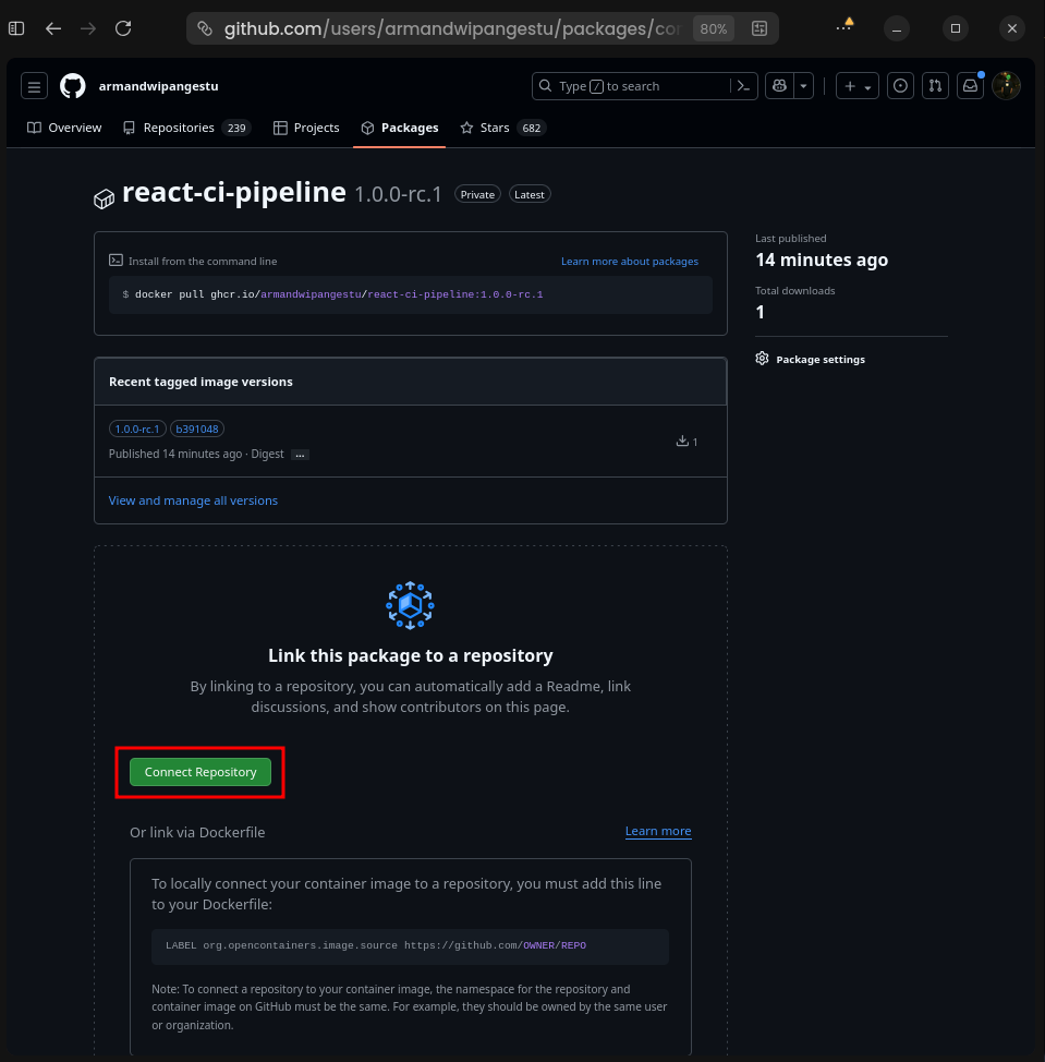 GitHub Packages Connect Repository